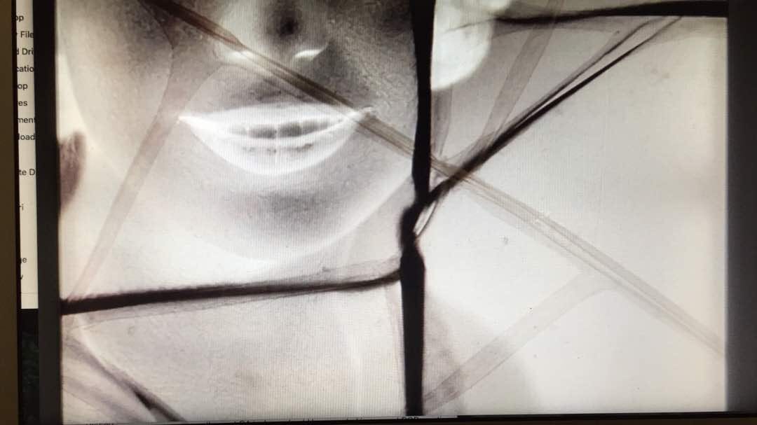 Sfeir-Semler Gallery