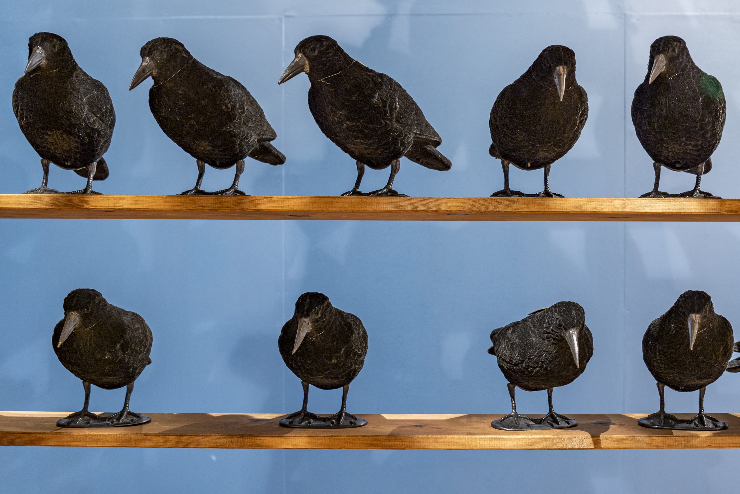 Canvas Gallery Art Dubai