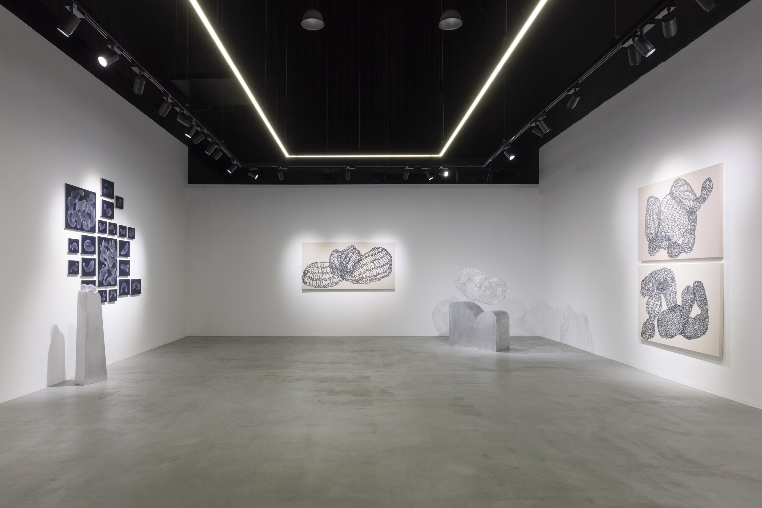 Aisha Alabbar Gallery